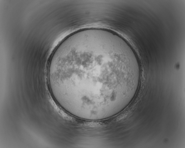 X0000115590998200912081045