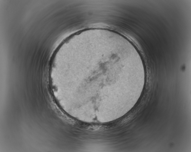 X0000115591000200912081045