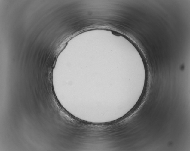 X0000115591001200912081045