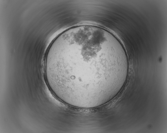 X0000115591003200912081045
