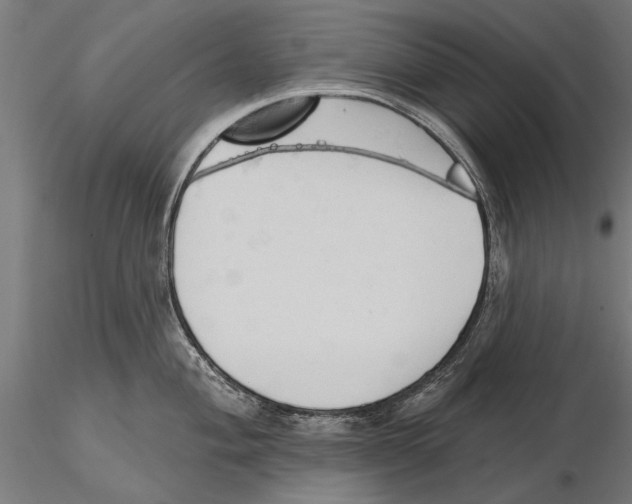 X0000115591004200912081045