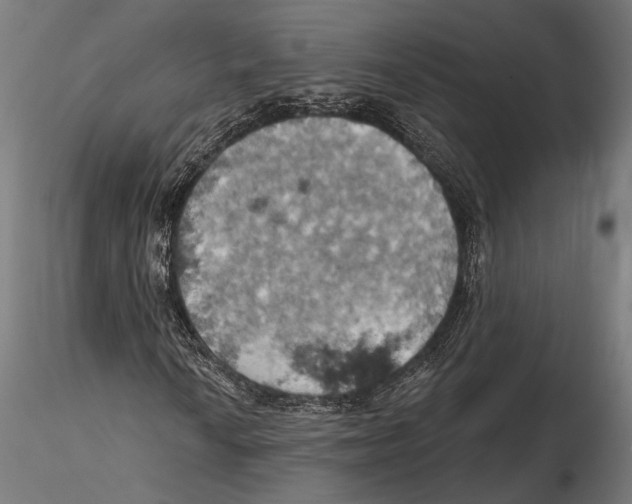X0000115591010200912081044