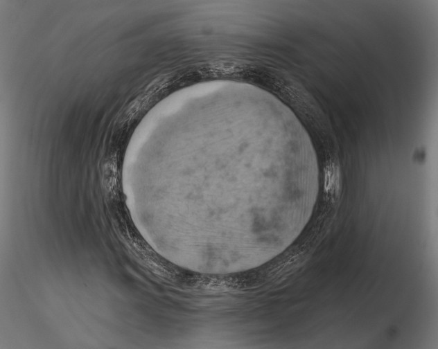 X0000115591011200912081044