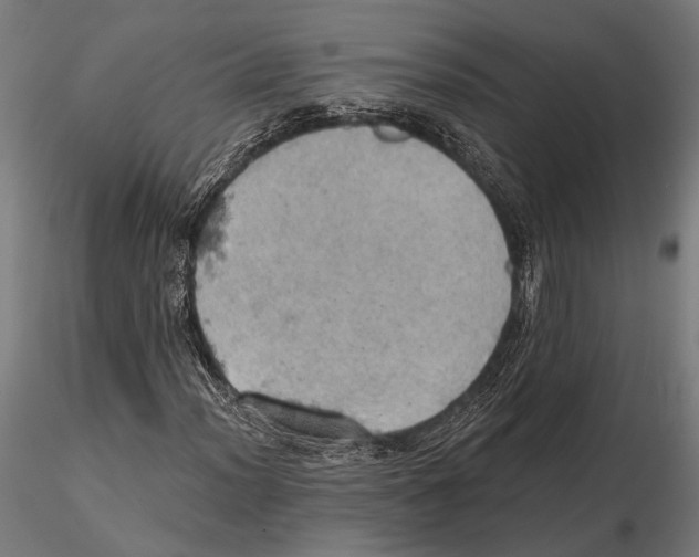 X0000115591012200912081044