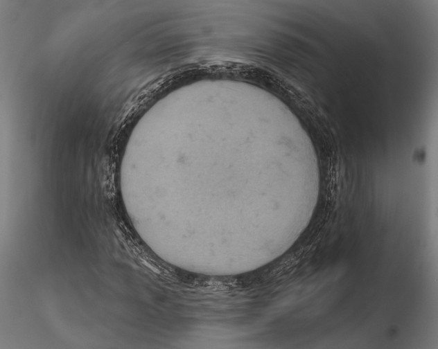 X0000115591013200912081044