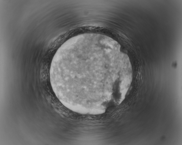 X0000115591014200912081044