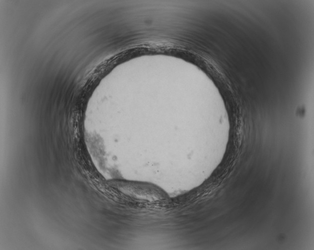 X0000115591016200912081044