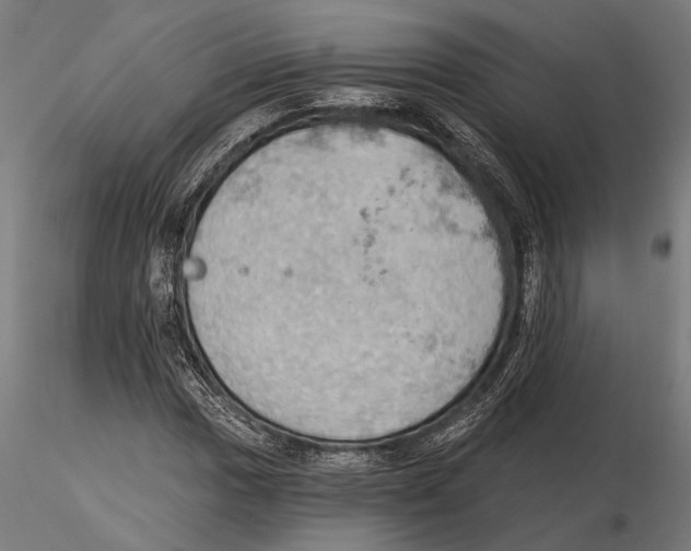 X0000115591017200912081044