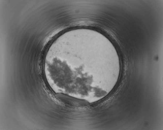 X0000115591018200912081044