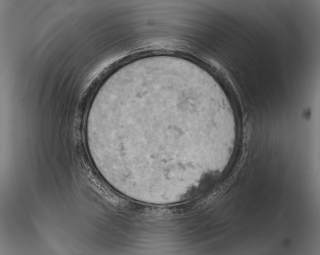 X0000115591019200912081044