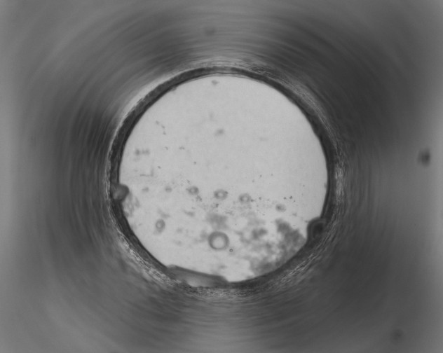 X0000115591020200912081044