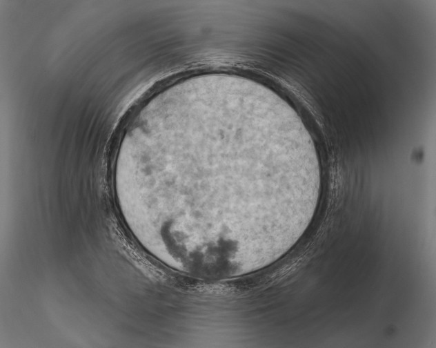 X0000115591023200912081044