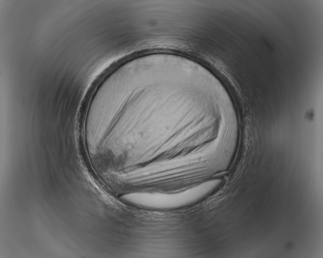 X0000115591024200912081044