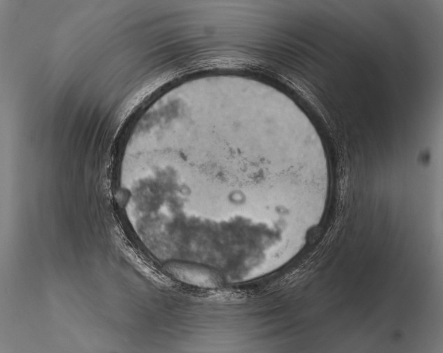 X0000115591026200912081044