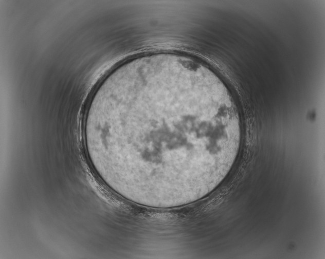 X0000115591031200912081044