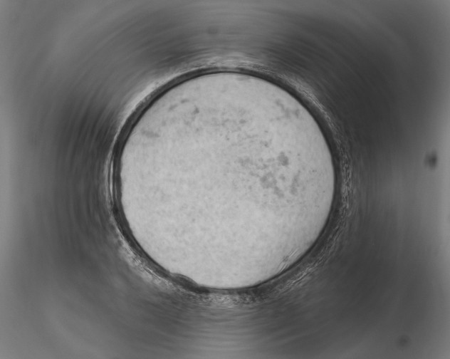 X0000115591032200912081044