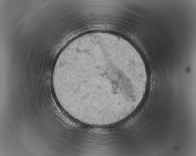 X0000115591033200912081044