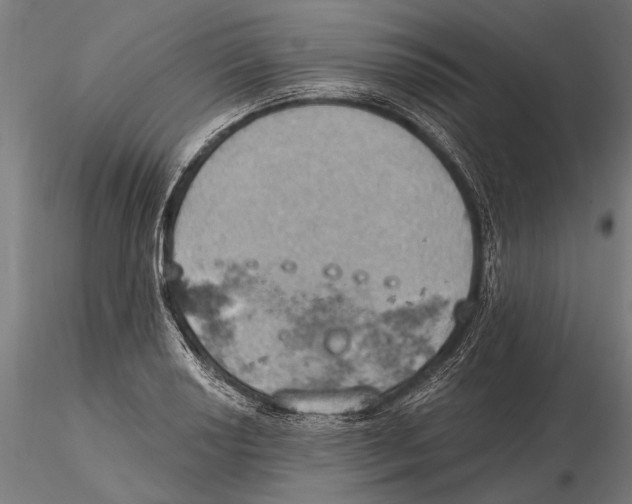 X0000115591034200912081044