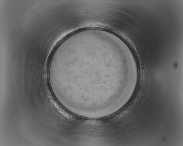 X0000115591037200912081044