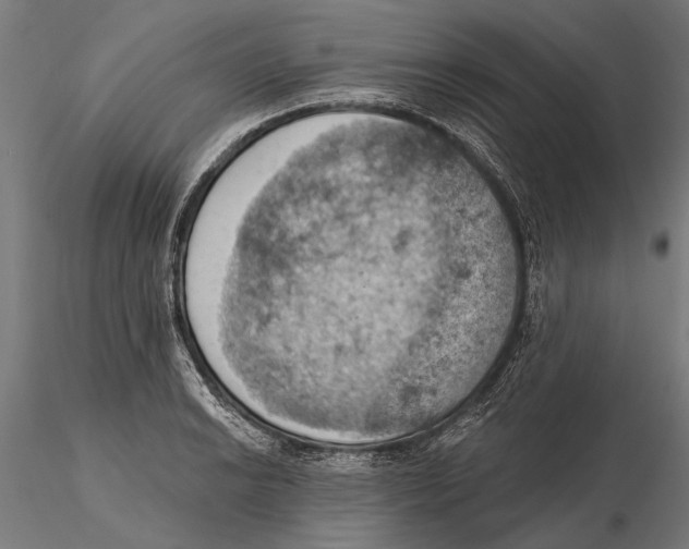 X0000115591038200912081044