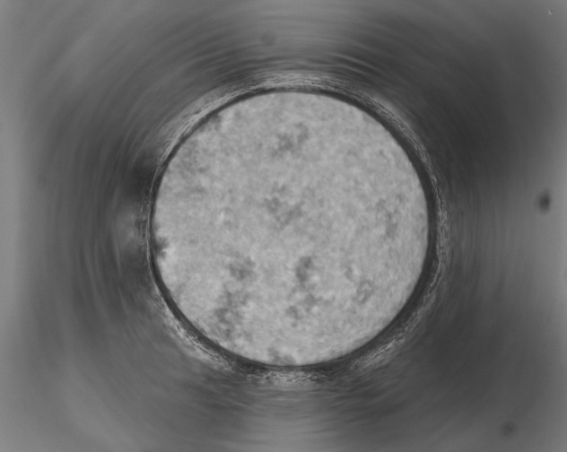 X0000115591041200912081044