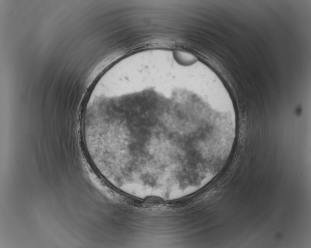X0000115591042200912081044