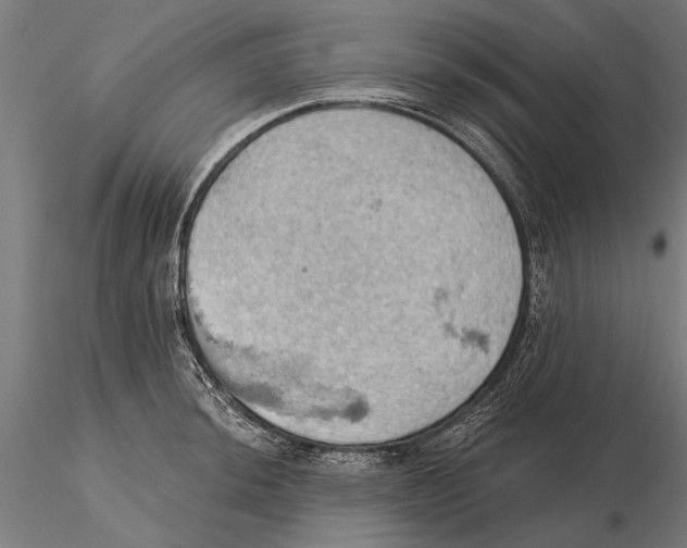 X0000115591044200912081044