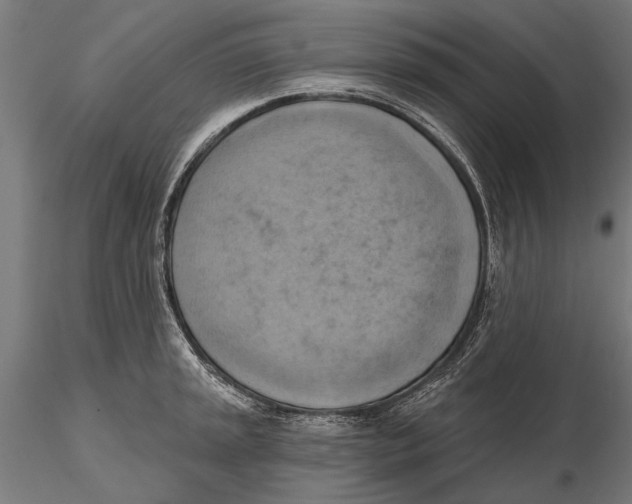X0000115591045200912081044