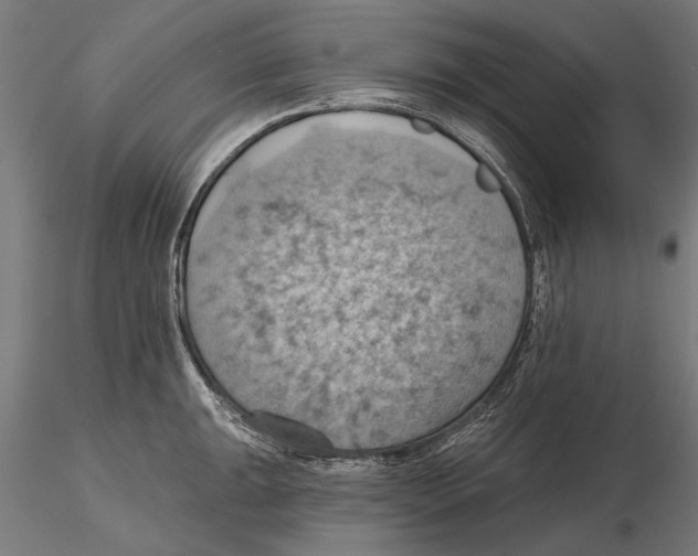 X0000115591047200912081044
