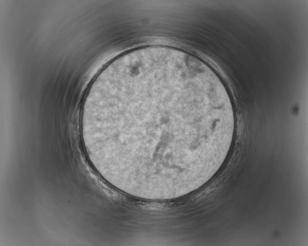 X0000115591048200912081044