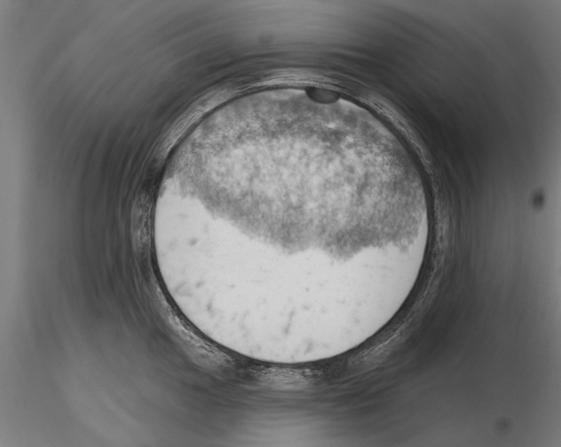 X0000115591049200912081044