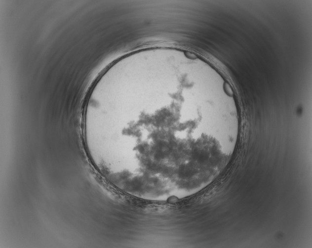 X0000115591051200912081044