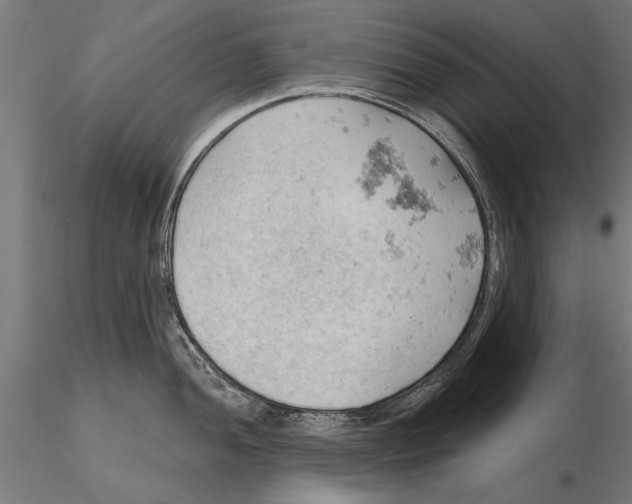 X0000115591052200912081044
