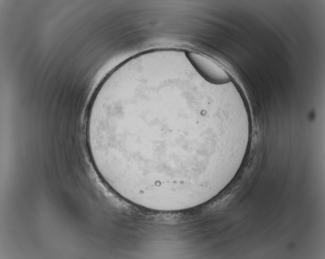 X0000115591053200912081044