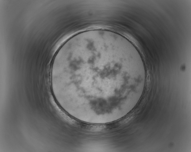 X0000115591055200912081045