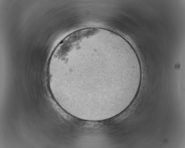 X0000115591056200912081045