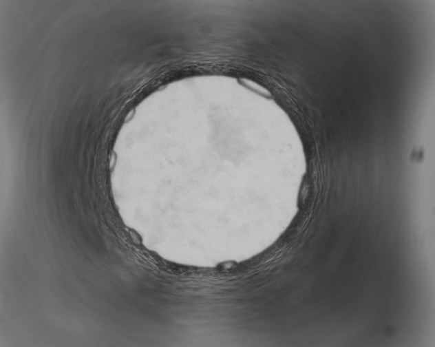 X0000115591057200912081044