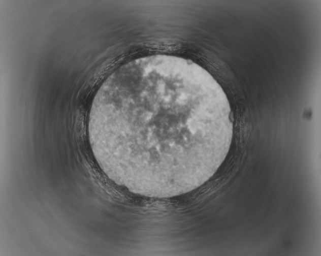 X0000115591058200912081044