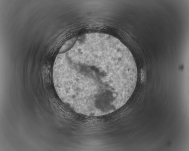 X0000115591059200912081044