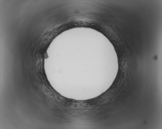 X0000115591061200912081044