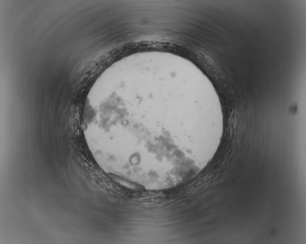 X0000115591062200912081044