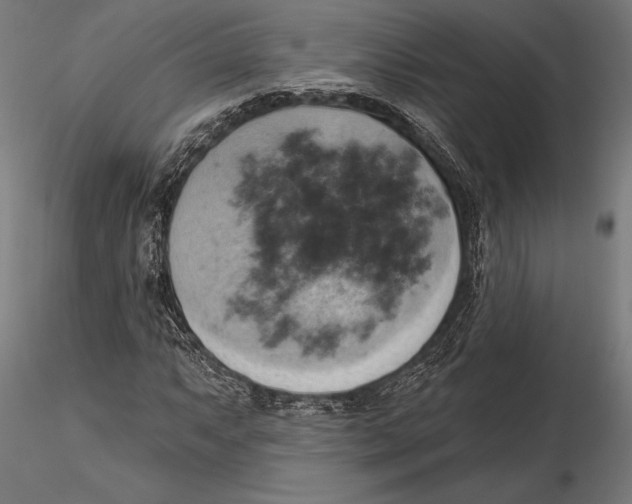 X0000115591063200912081044