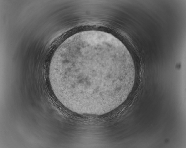 X0000115591064200912081044