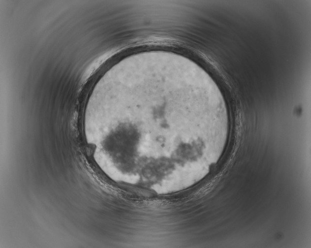 X0000115591066200912081044