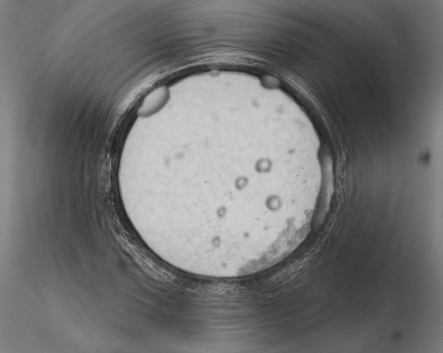X0000115591067200912081044