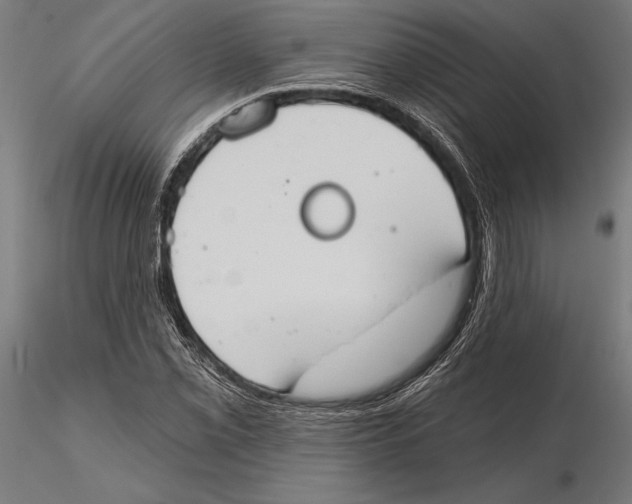 X0000115591069200912081044