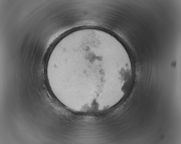 X0000115591070200912081044