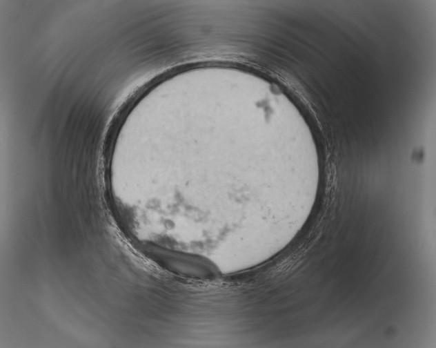 X0000115591072200912081044