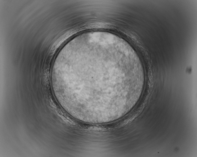 X0000115591073200912081044