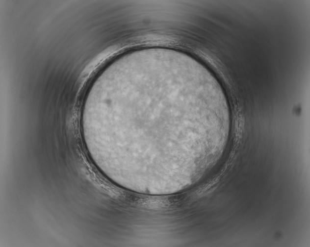 X0000115591074200912081044
